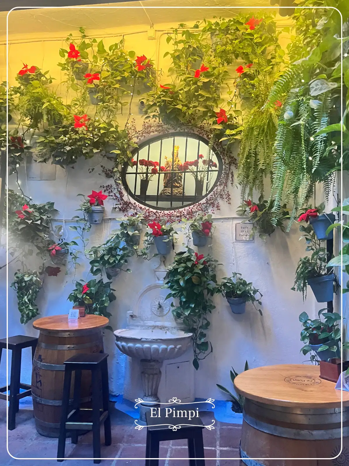 Colourful vine-covered courtyard and interior of El Pimpi bar Málaga