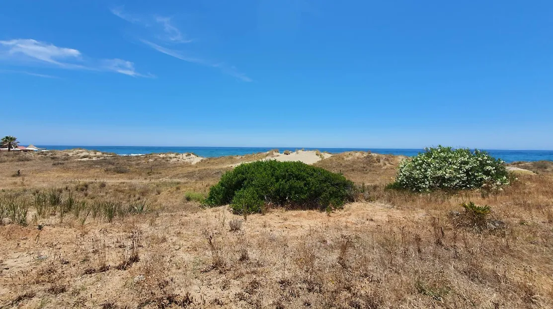 Playa Real de Zaragoza with calm water and sandy shore east of Marbella