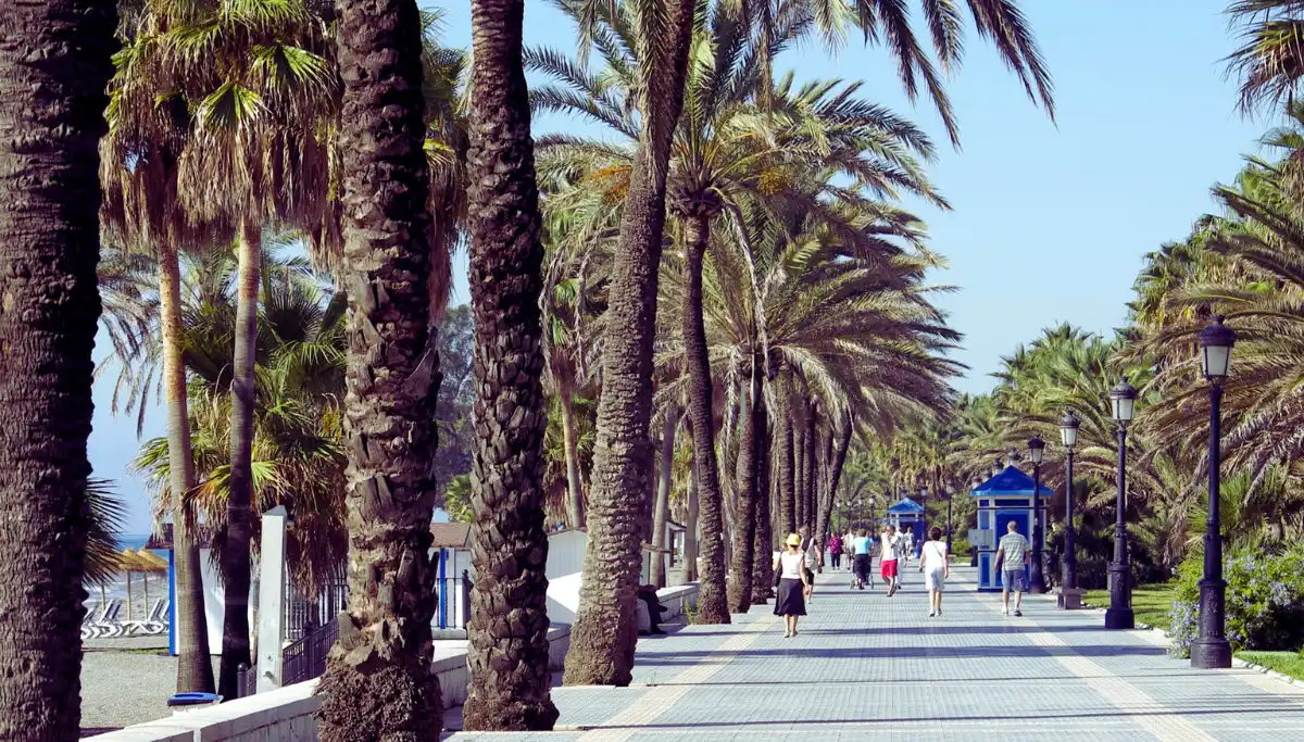 Beachfront promenade stretching west from Puerto Banús toward San Pedro de Alcantara