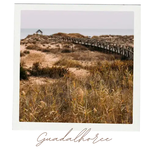 Guadalhorce River Estuary nature reserve