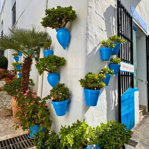 Blue flower pots on a white wall in Frigiliana