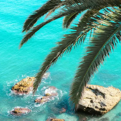 Turquoise sea and palms in Nerja