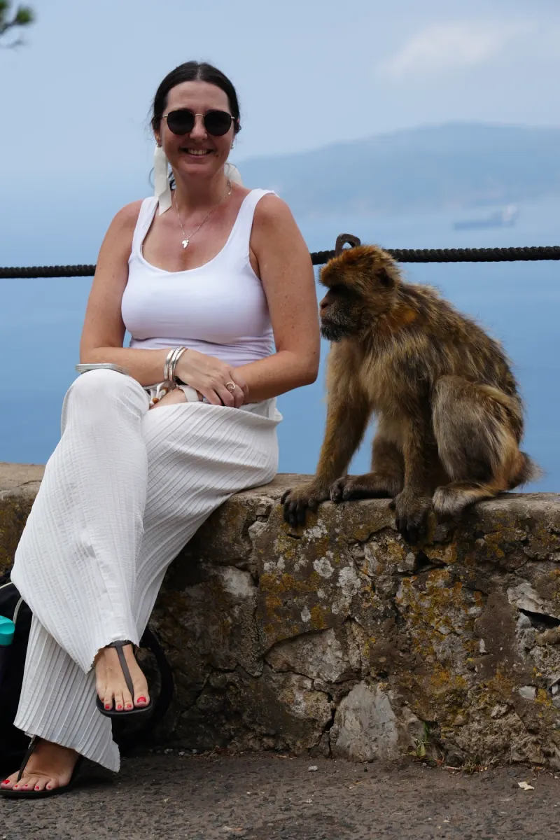 Barbary macaque mother and infant sitting on a wall above the town of Gibraltar
