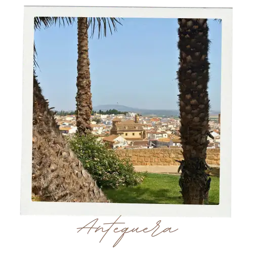 A view of Antequera city from the cathedral, viewed from between palm trees.
