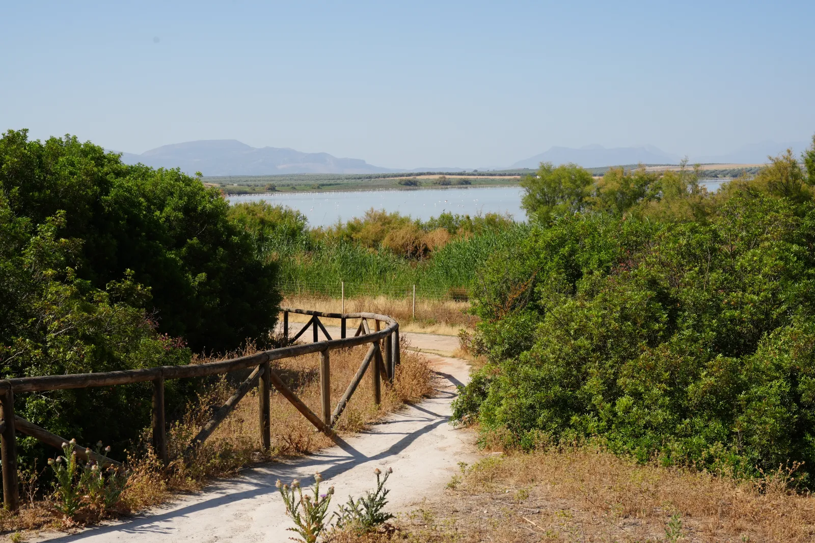 Wooden boardwalk leading out across the edge of Laguna de Fuente de Piedra