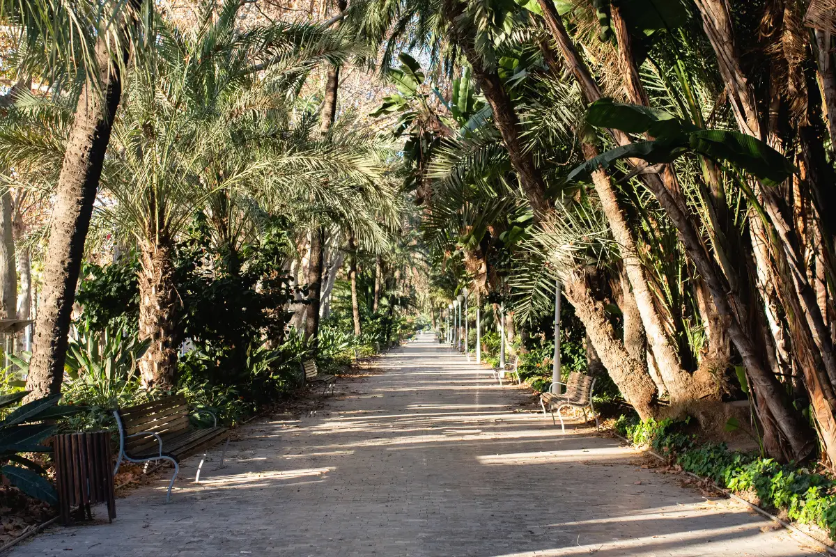 best things kids malaga 4 1