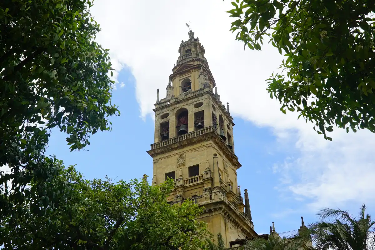 Climb the Bell Tower in Cordoba