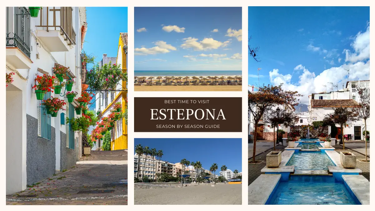 Estepona from a distance with mountains behind