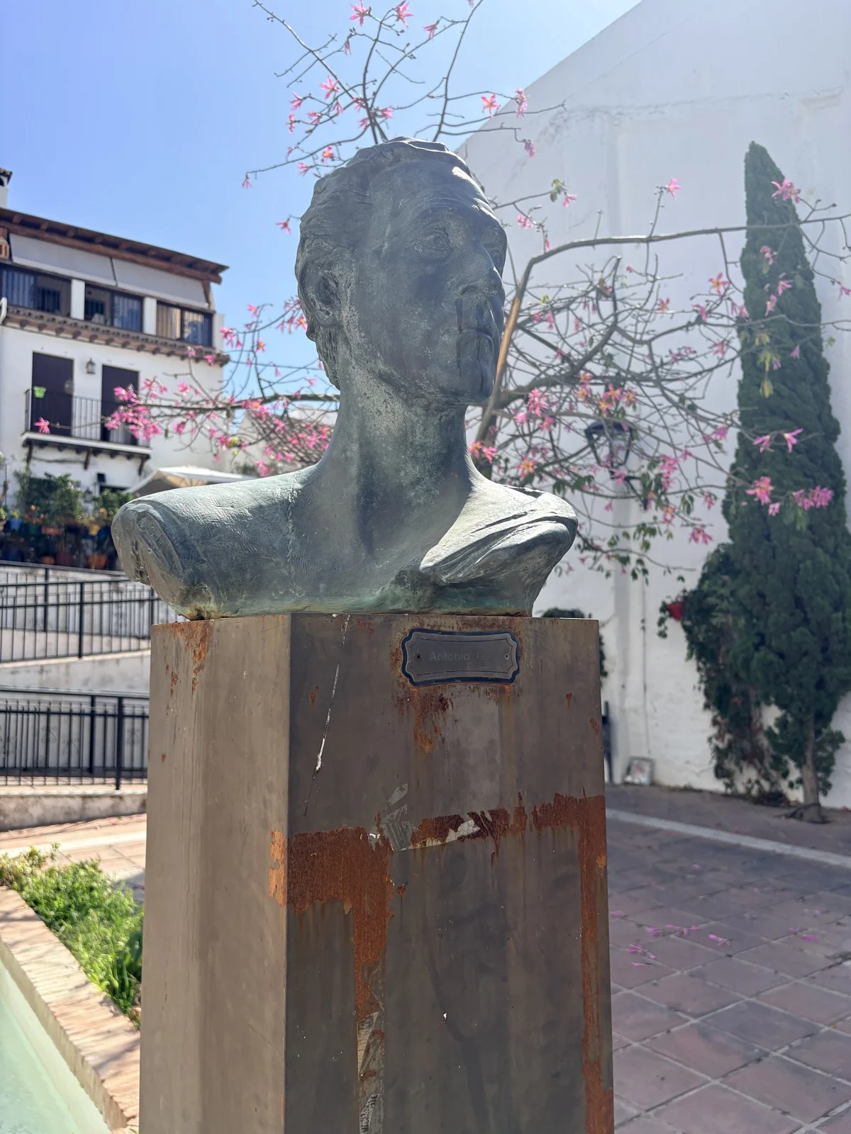 Bronze bust of Antonio Gala on a rusted metal plinth in Plaza de Antonio Gala, Estepona, with a flowering tree and cypress behind it