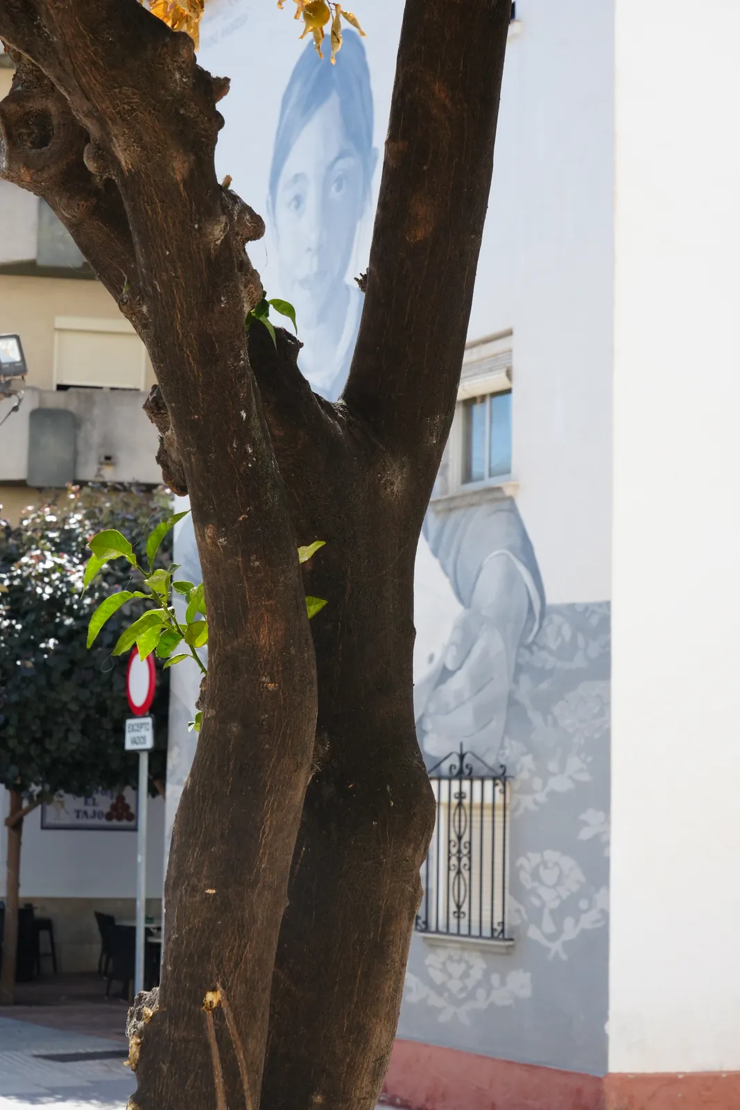 Child's face and reaching hand mural partly hidden by an orange tree in Estepona