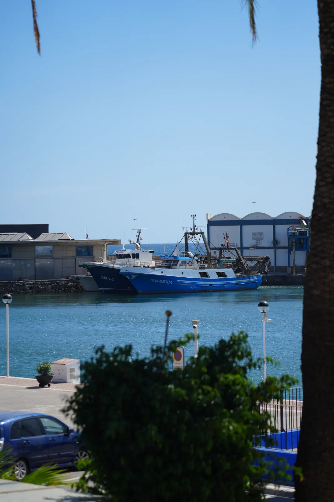 Fishing boats moored in Estepona's harbour