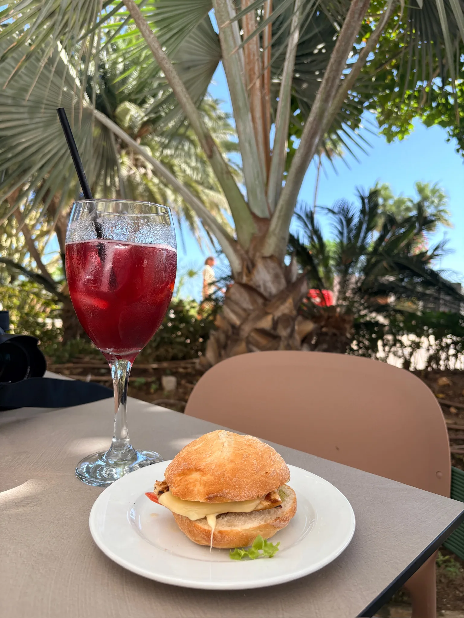 A chicken and cheese sandwich with a glass of red wine on a shaded terrace table in Estepona