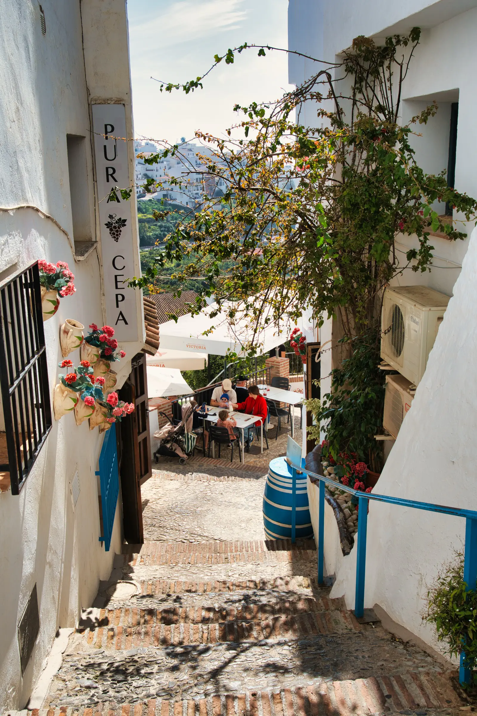 Pretty whitewashed street in Frigiliana with flowers