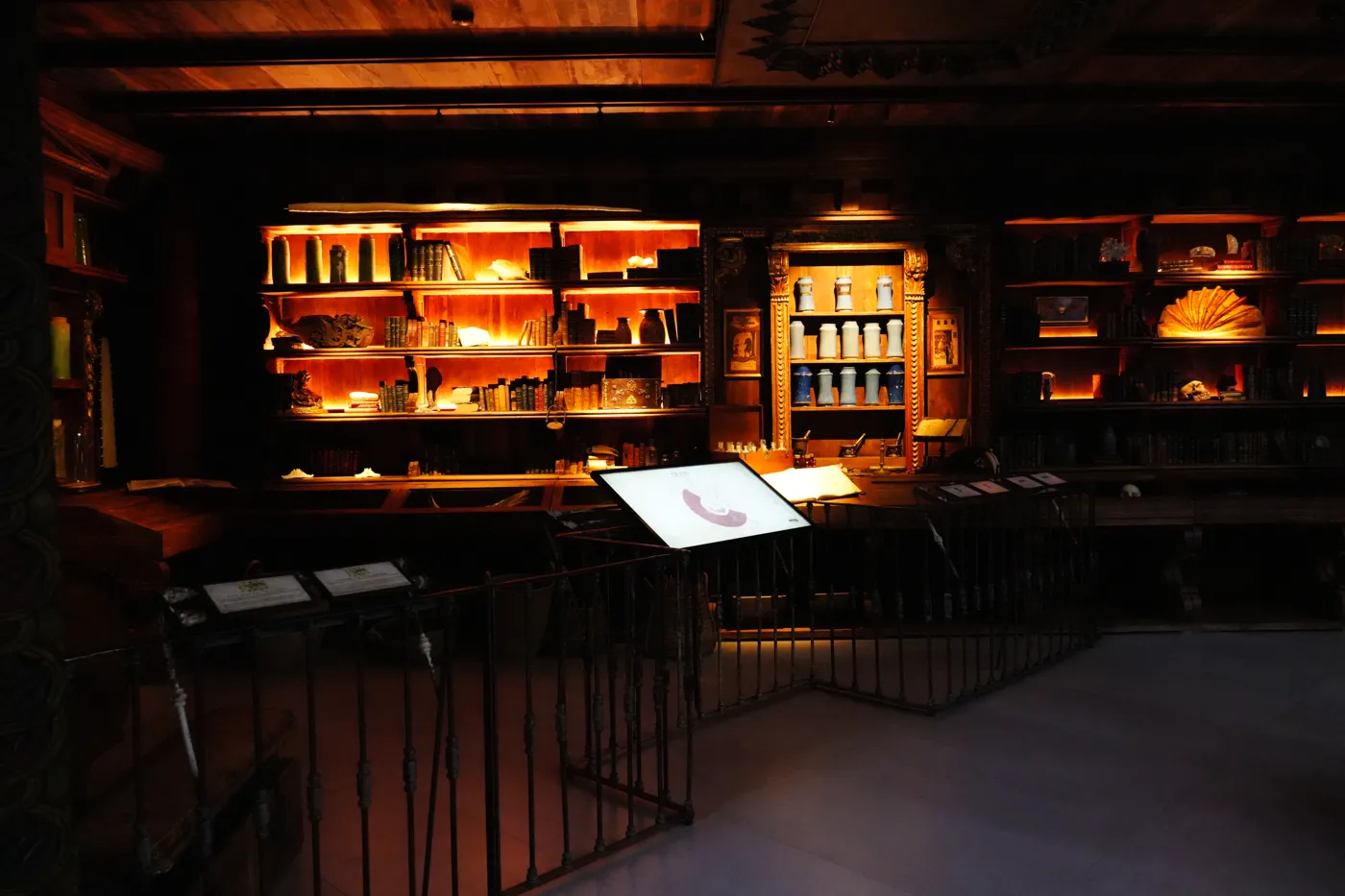Wooden shelves of old books, jars and shells lit in warm orange light in the explorer hall at Bioparc Fuengirola