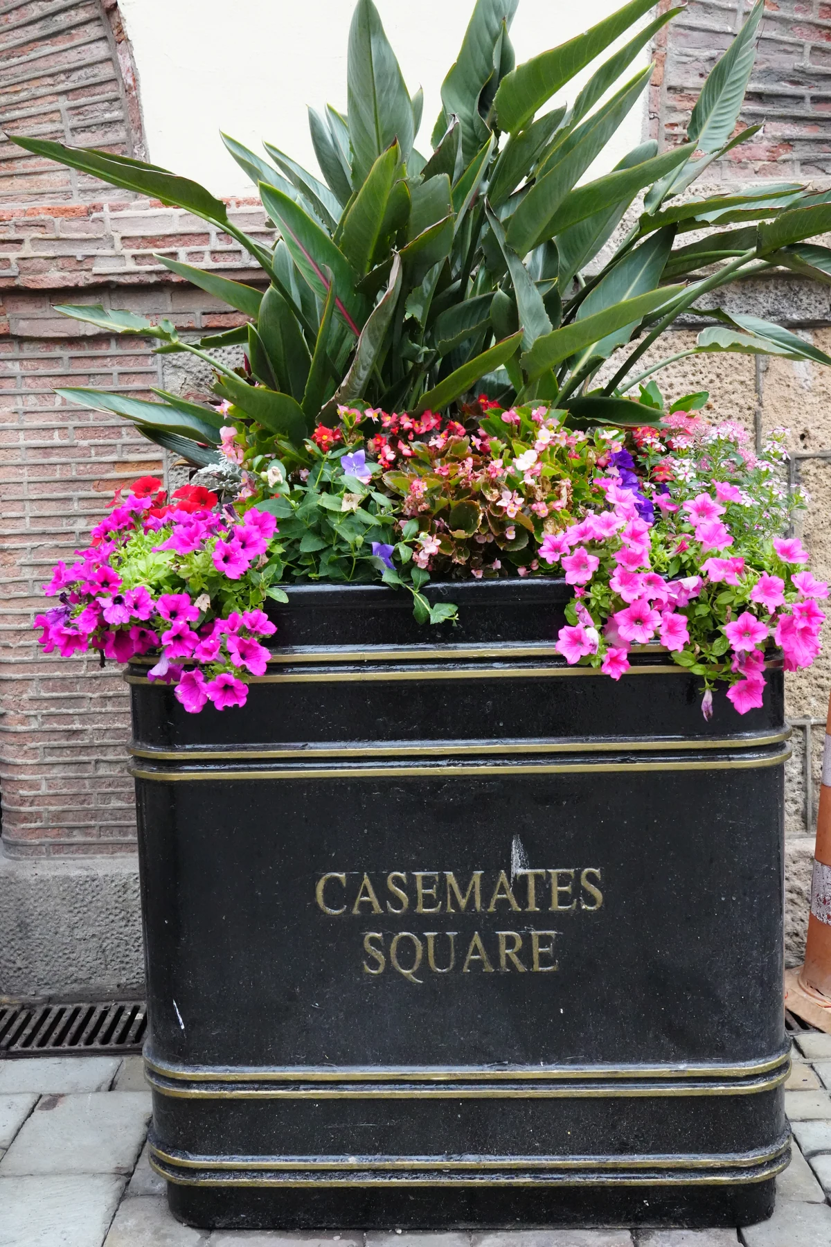 Flower planter and restaurant fronts in Casemates Square, Gibraltar