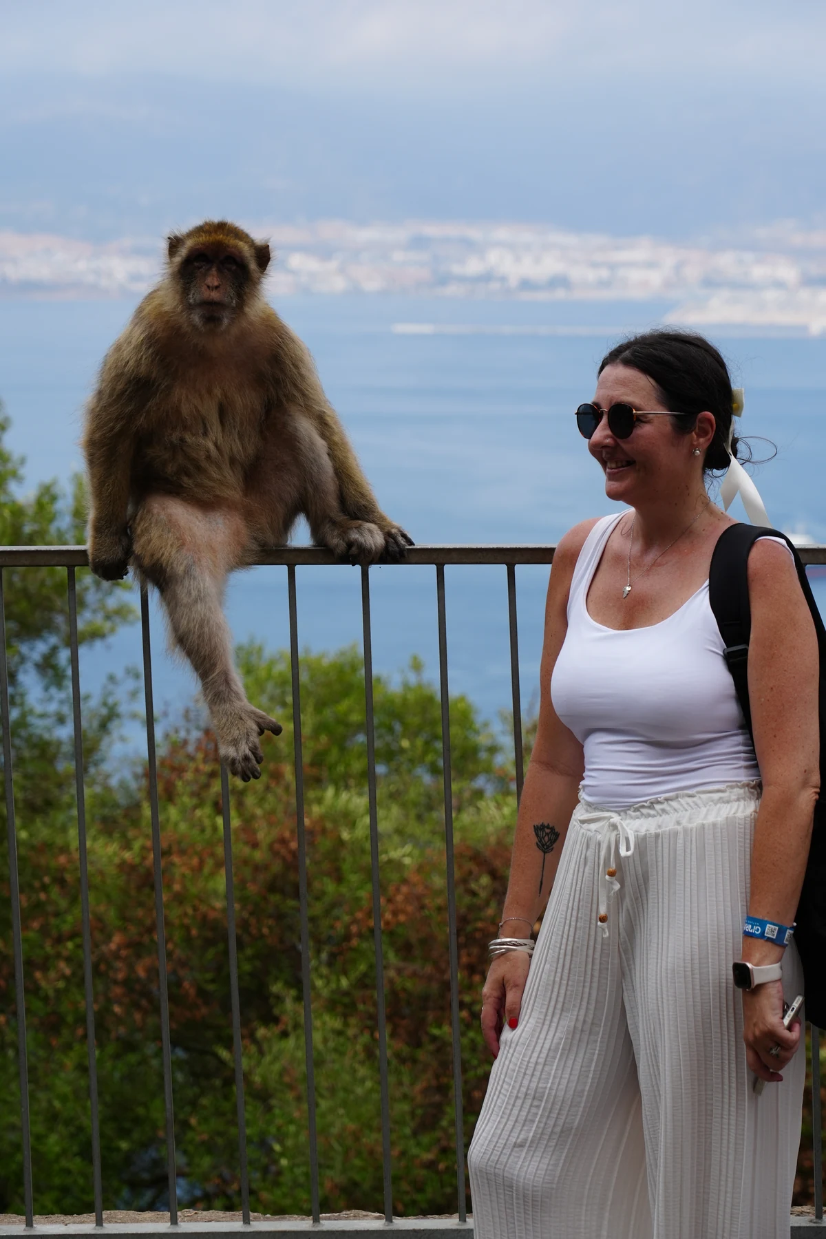 Face to face with a Barbary macaque on the Rock of Gibraltar