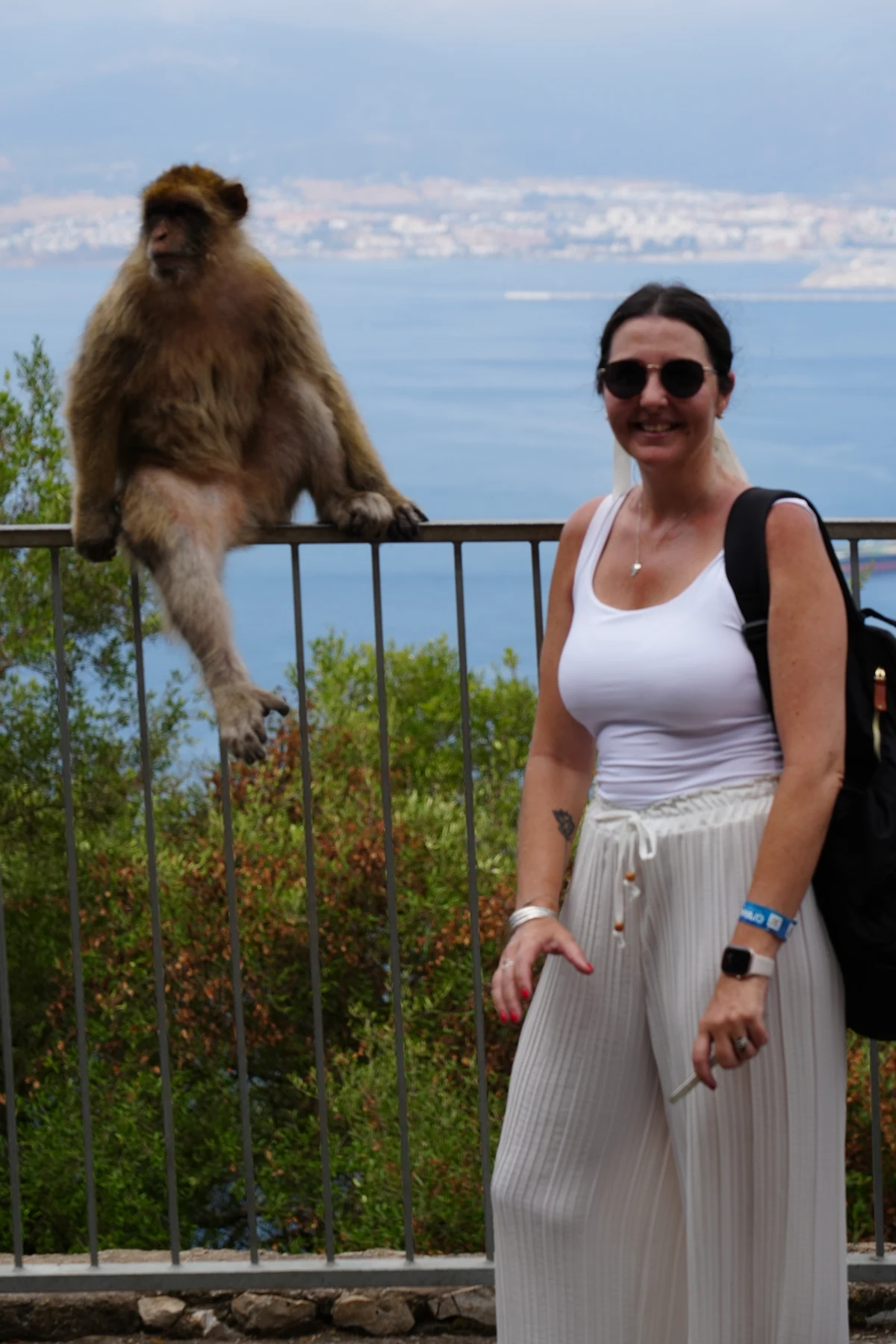 A macaque on a wall above the hazy Gibraltar coastline in summer