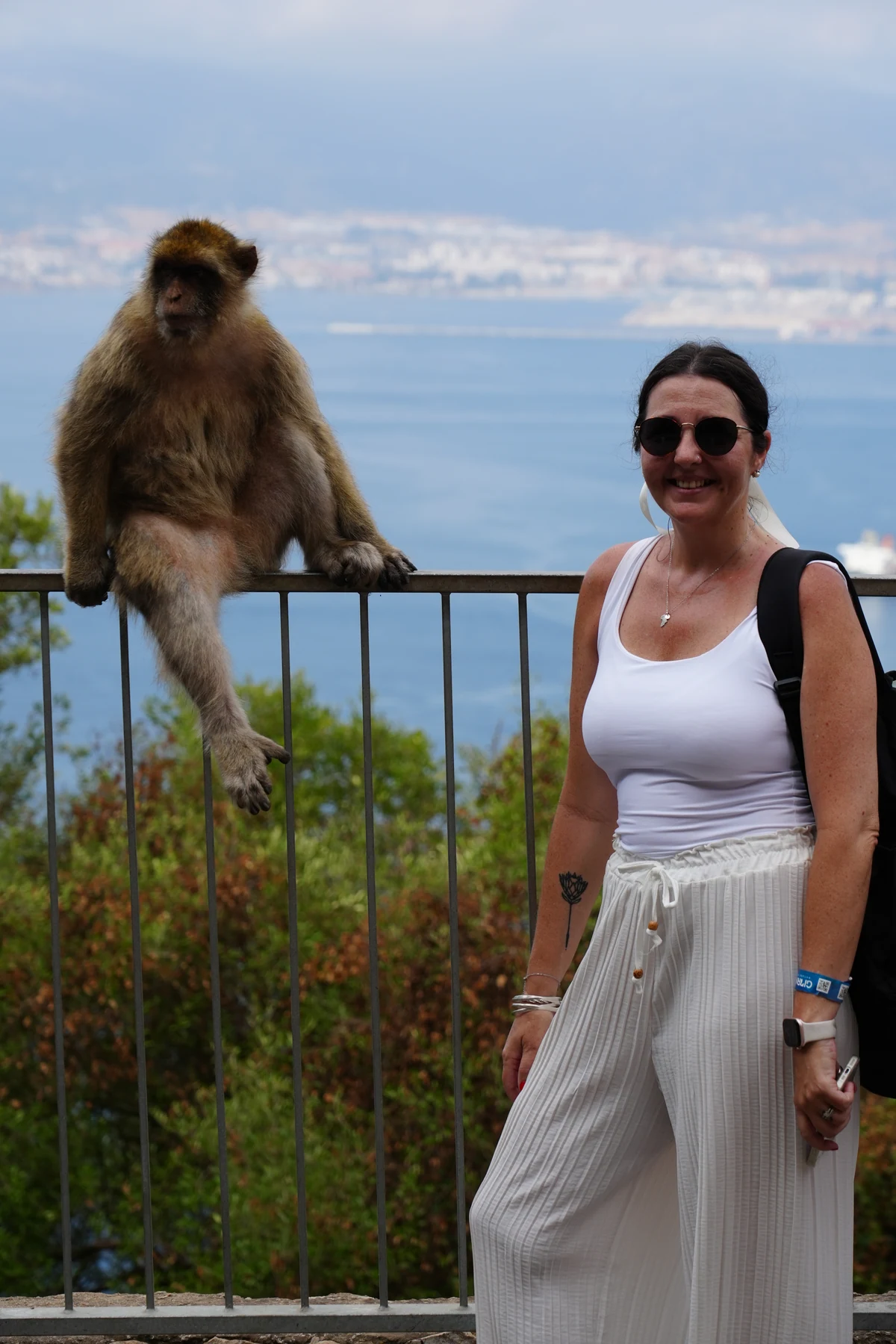 Watching a macaque on the viewpoint railing on the Rock of Gibraltar