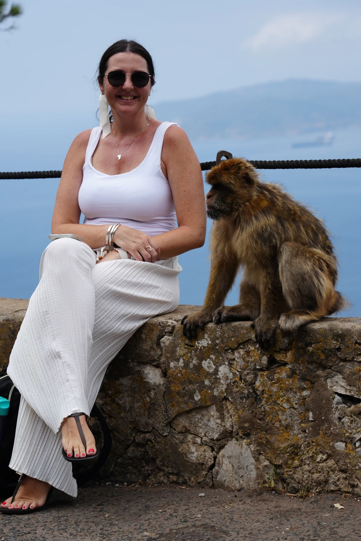 Barbary macaque mother and infant sitting on a wall above the town of Gibraltar