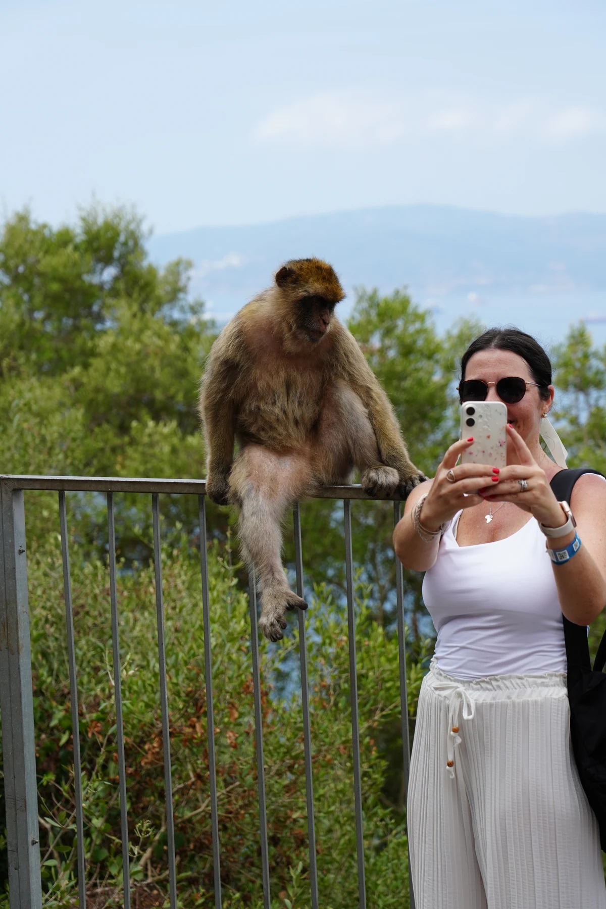 Taking a selfie beside a Barbary macaque on the Rock of Gibraltar