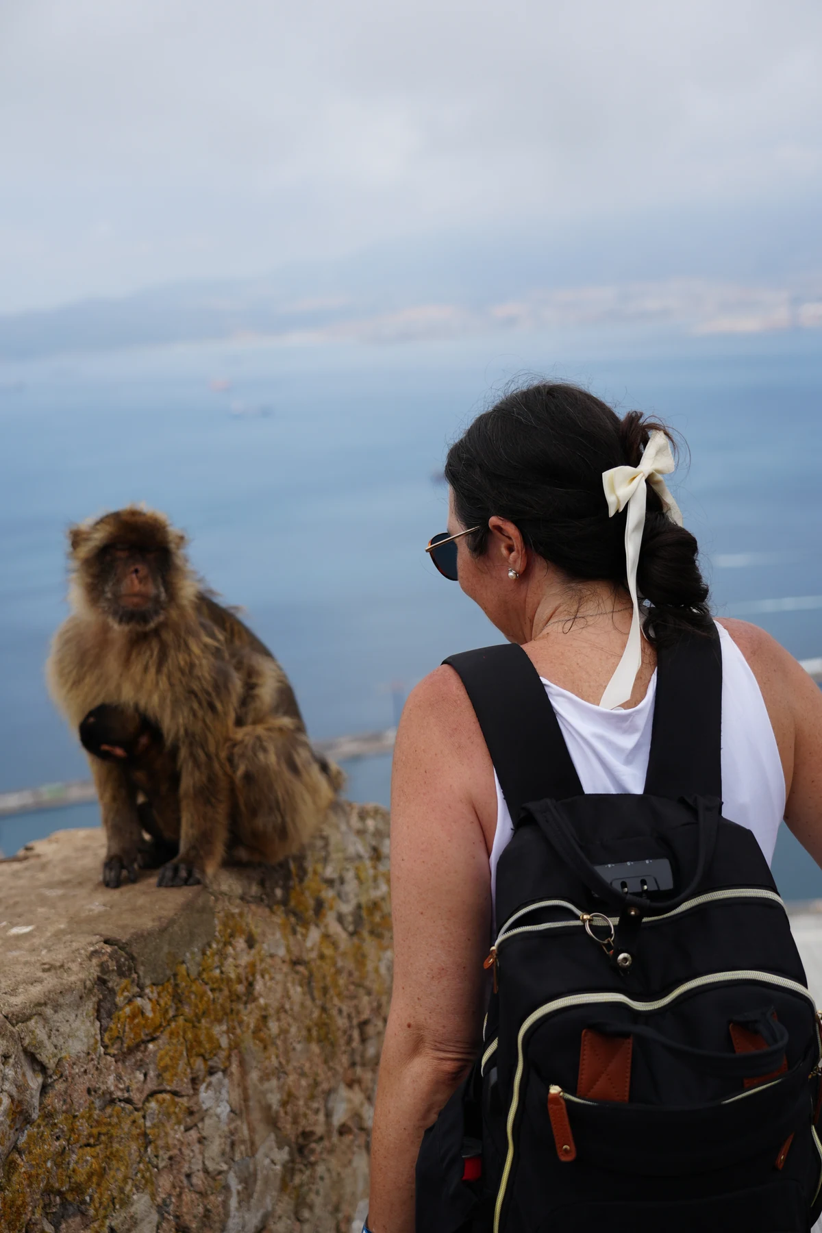 A monkey sitting on a railing with Heidi in the background.