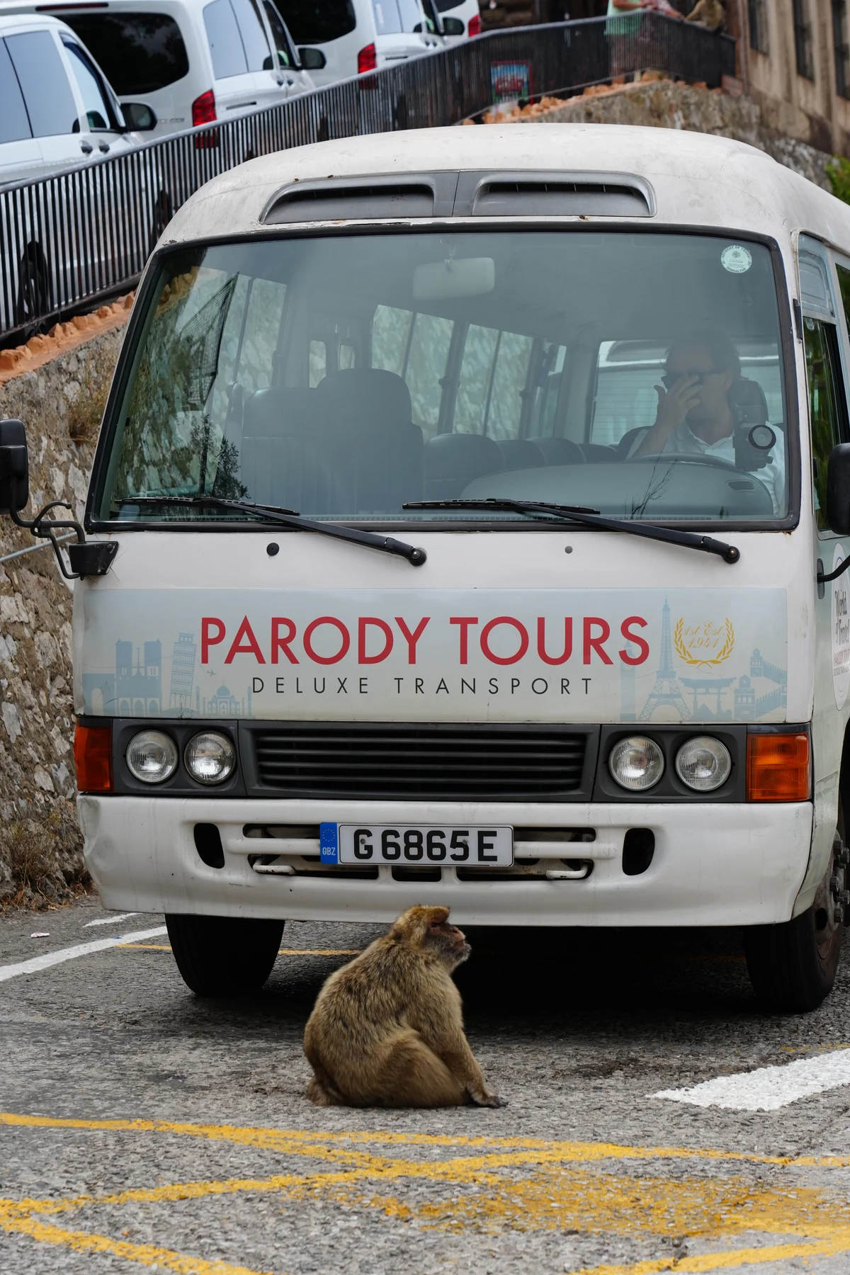 Tour minibus on the Upper Rock road in Gibraltar