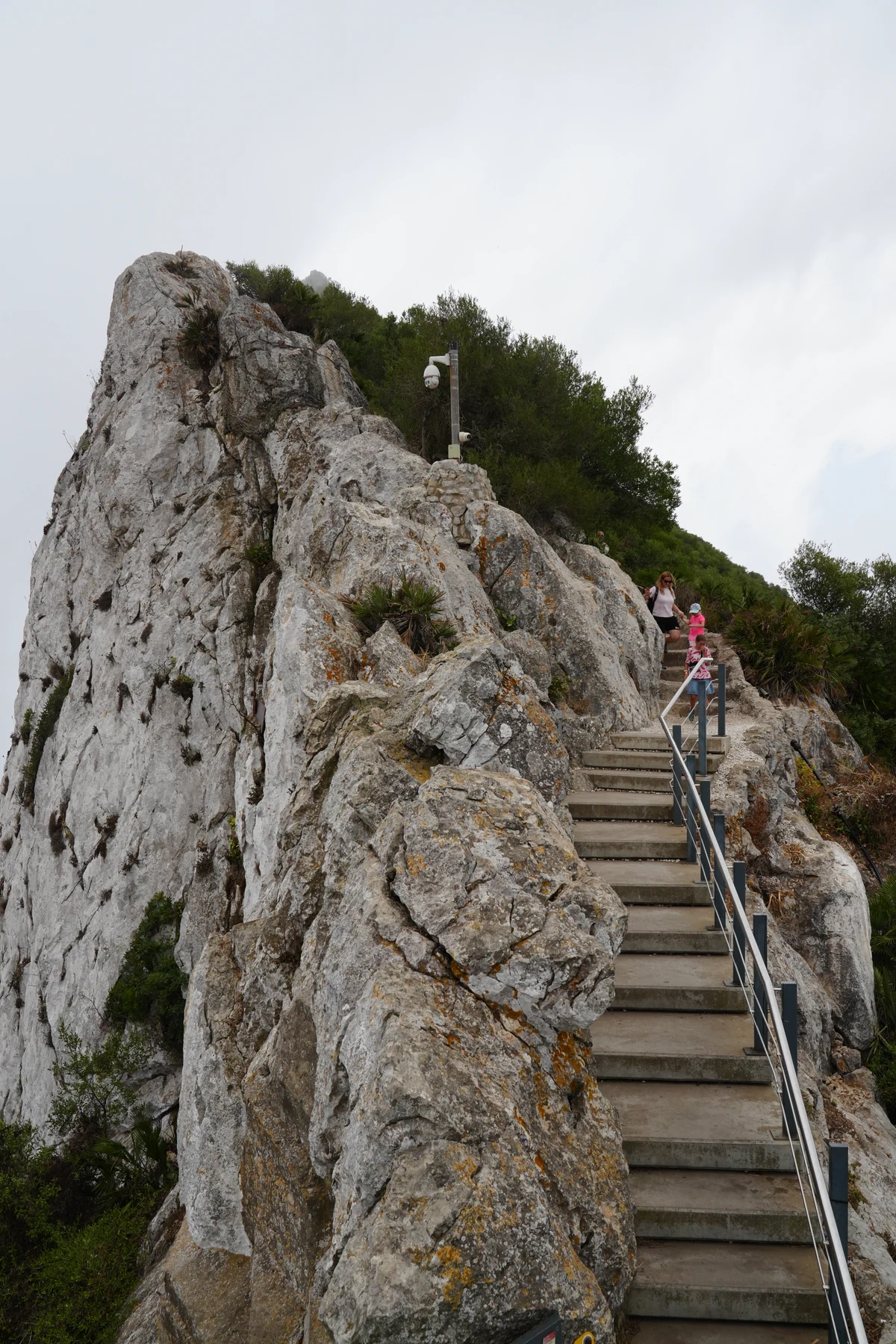 Stone steps climbing the rocky ridge of the Rock of Gibraltar