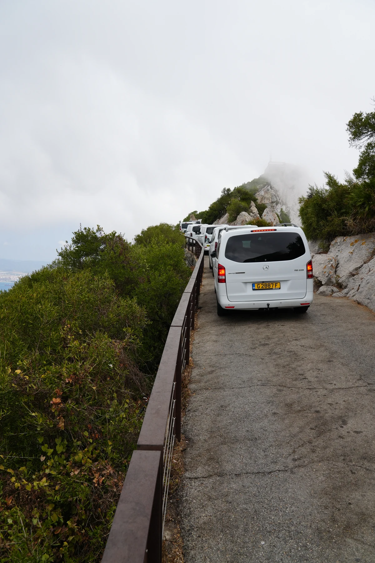 Tour minibuses on the narrow Upper Rock road in Gibraltar