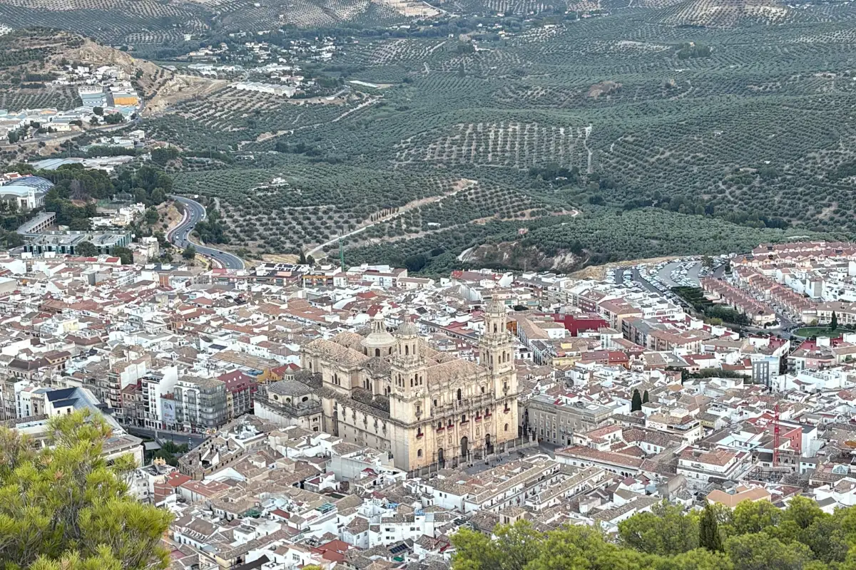 Aerial view of Jaén city with the cathedral at its centre and olive groves beyond