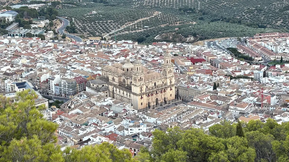 Aerial view of Jaén city with the cathedral at its centre, surrounded by olive groves