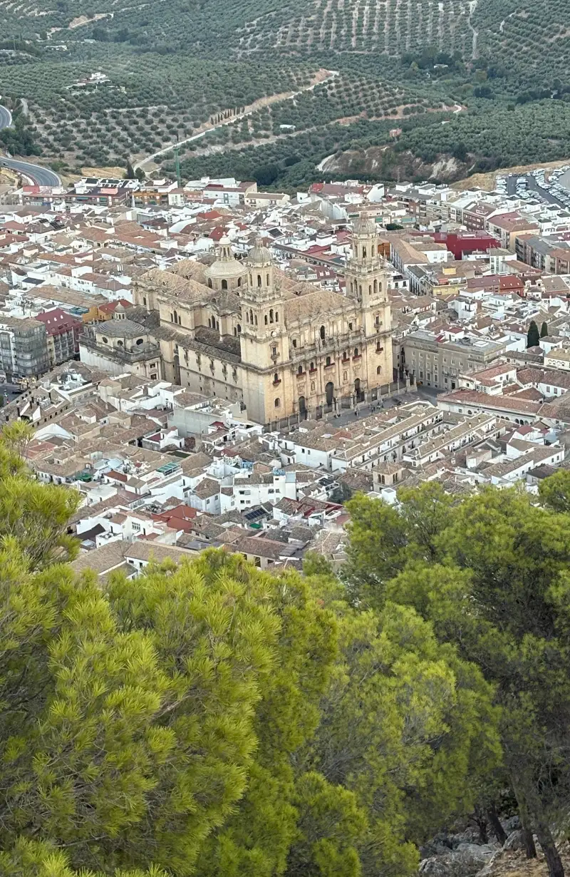 Jaén cathedral and hilltop Castillo de Santa Catalina overlooking the olive-covered landscape