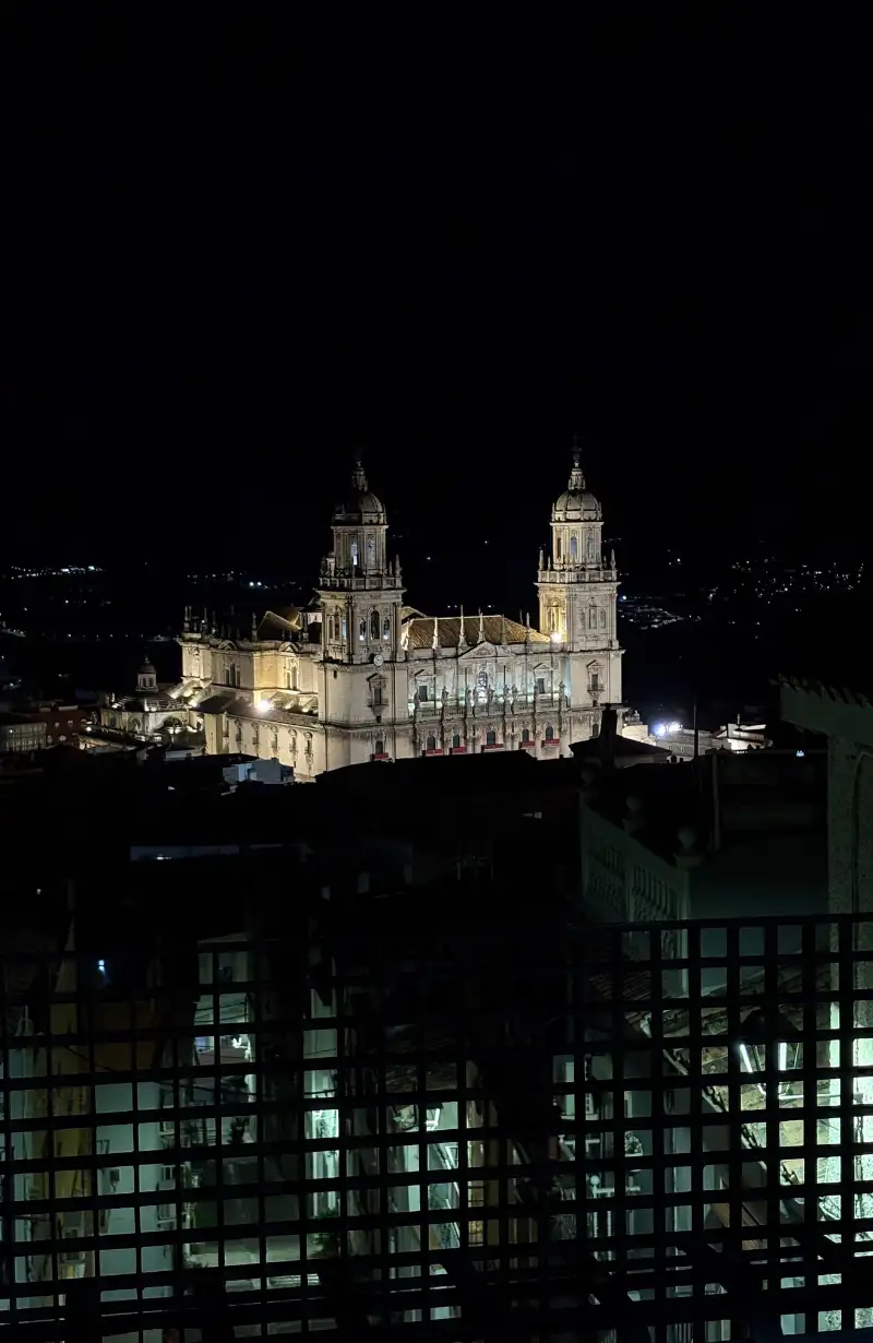 Jaén Cathedral illuminated at night from the rooftop viewpoint