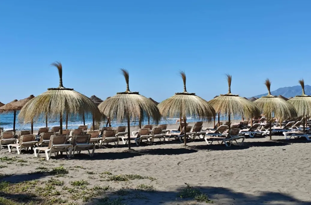 Palm-lined promenade and fishing boats on the sand at Playa El Palo, Málaga