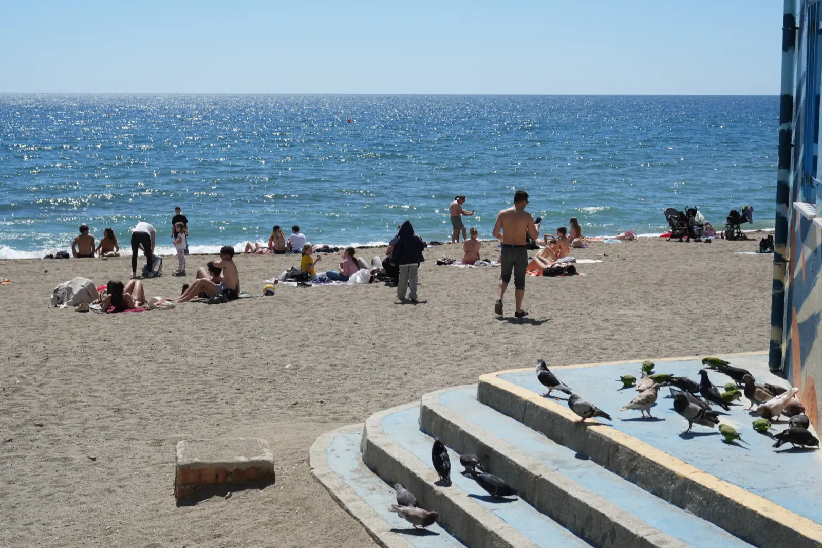 Sunbathers and pigeons on Malagueta beach on a mild winter day in Málaga