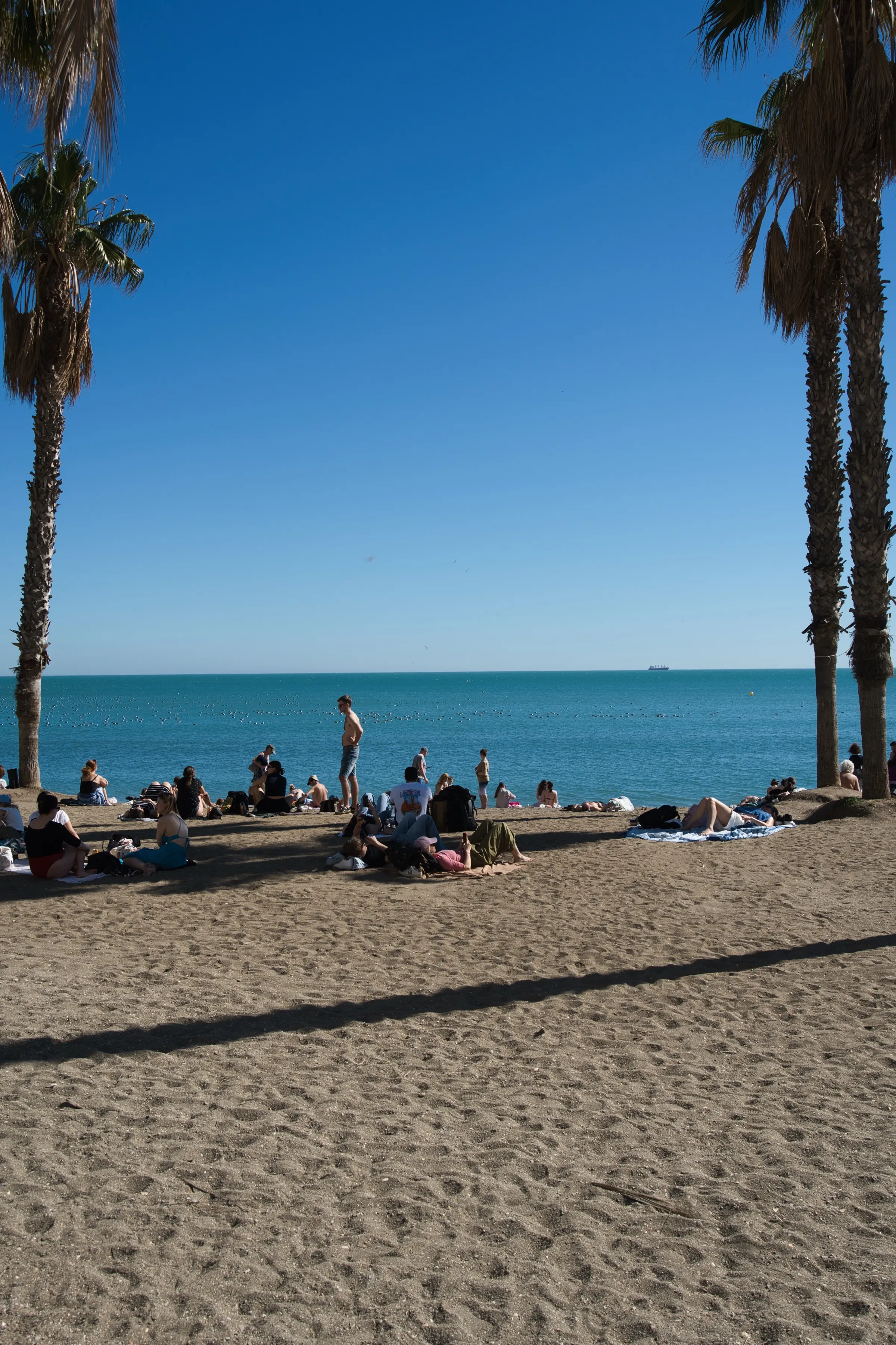Malagueta beach in Malaga framed by palm trees, people relaxing on the sand under a blue sky