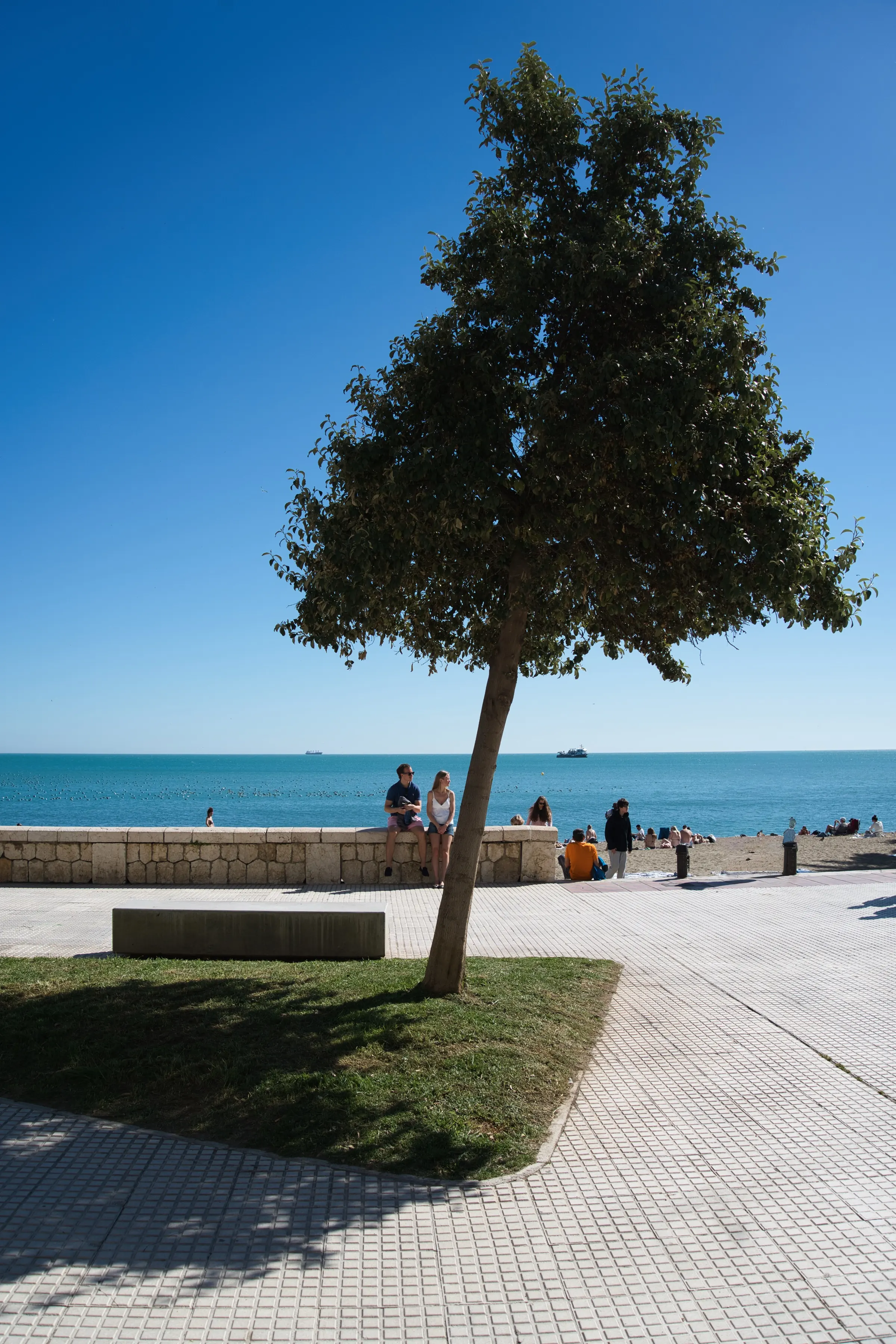 Two people sitting at Malagueta Beach.