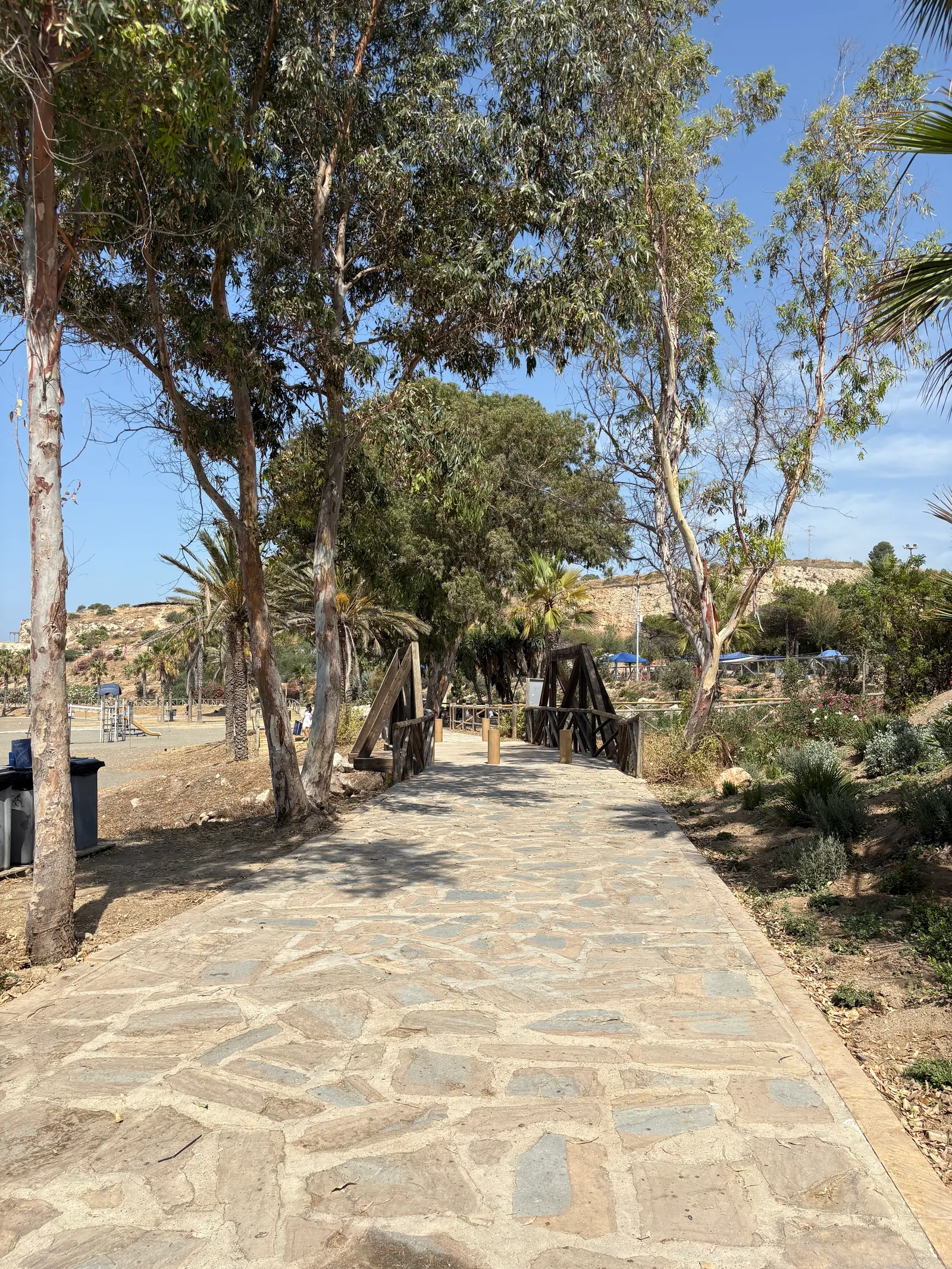 Stone path lined with eucalyptus trees leading to the picnic and BBQ area at Playa Peñón del Cuervo