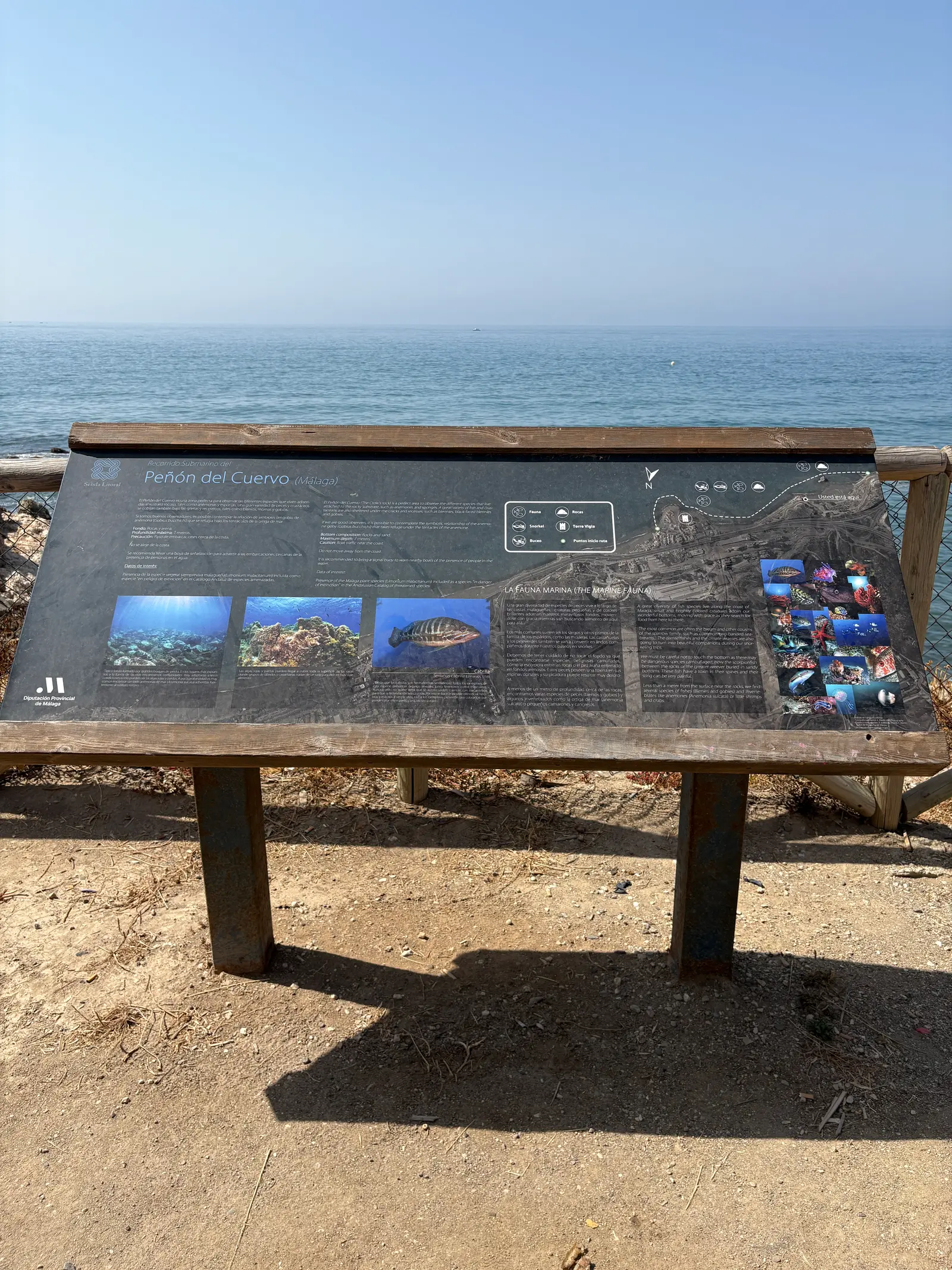 Interpretive sign about the protected marine fauna at Peñón del Cuervo, Málaga
