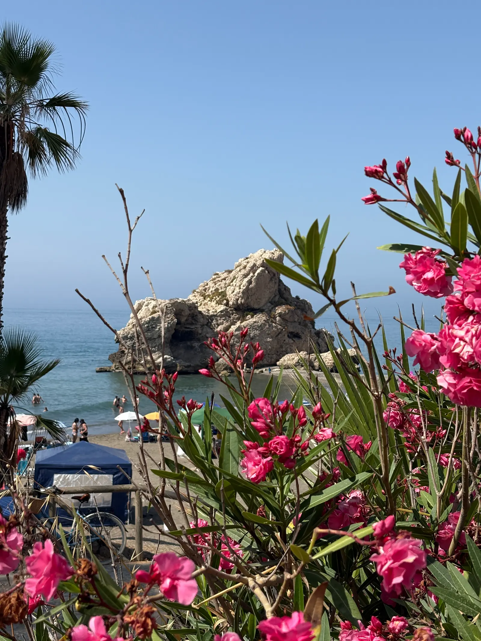 Peñón del Cuervo sea rock framed by pink oleander blooms, Málaga