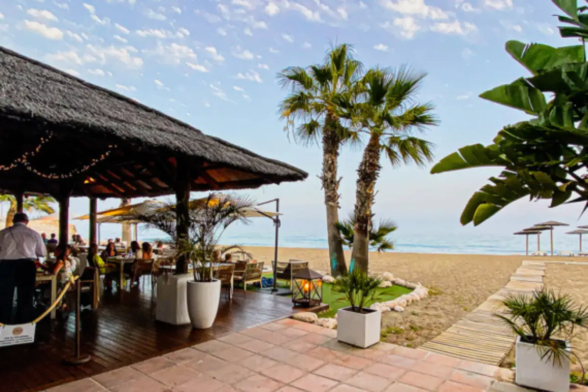 Beachfront chiringuito with palm trees in the Pedregalejo neighbourhood of Malaga