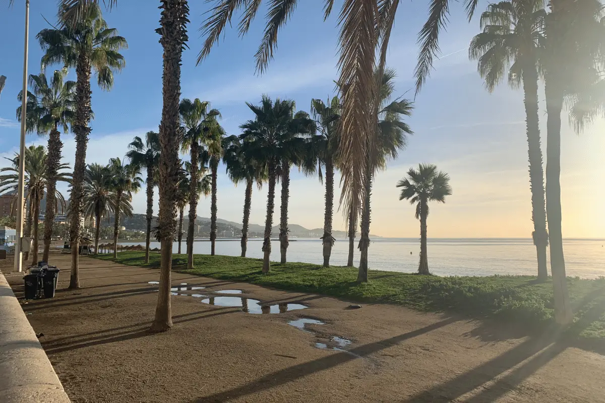 Palm-lined Malaga beach promenade at sunrise with the sea beyond