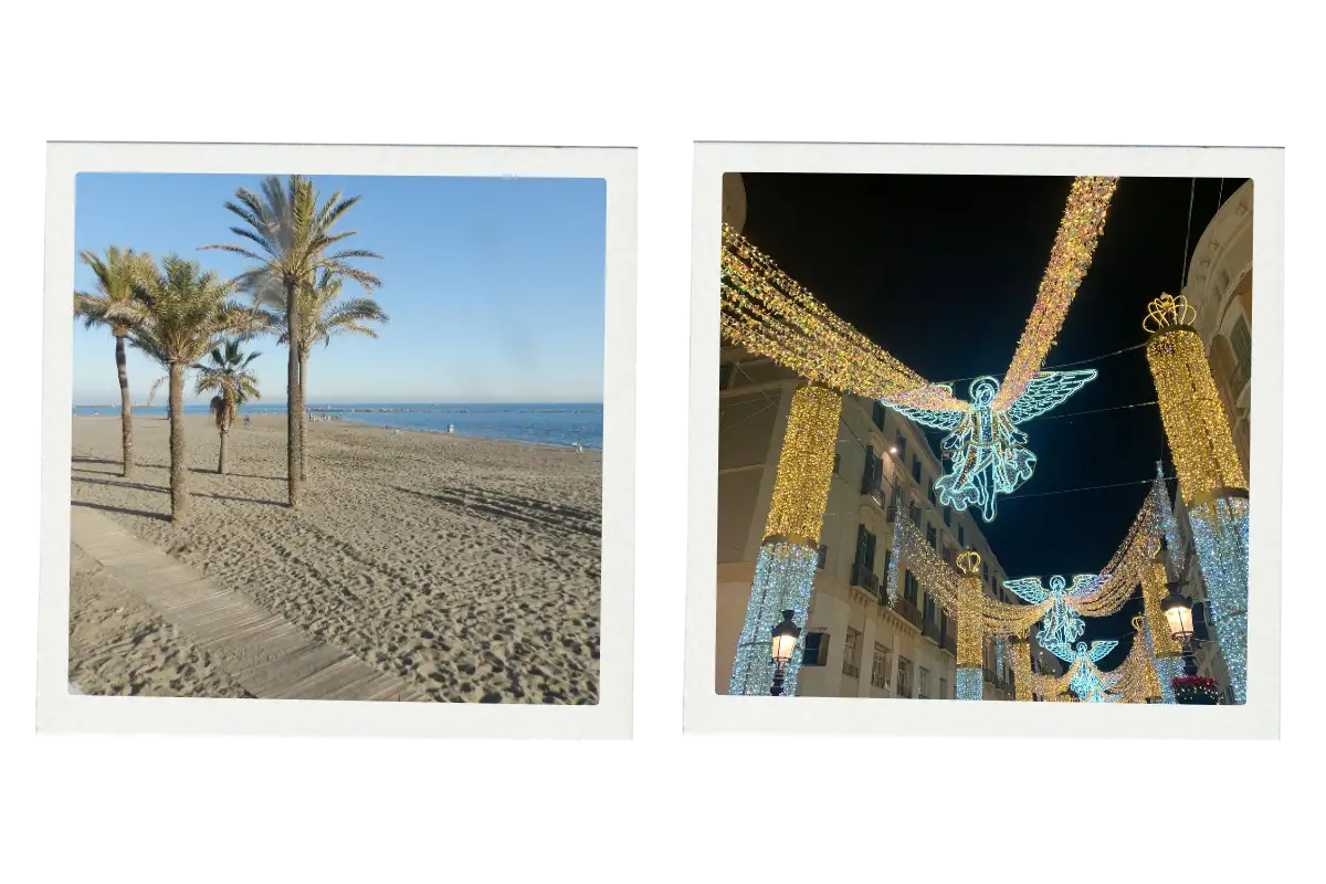 Christmas lights wrapped around the seafront palms at Malaga beach
