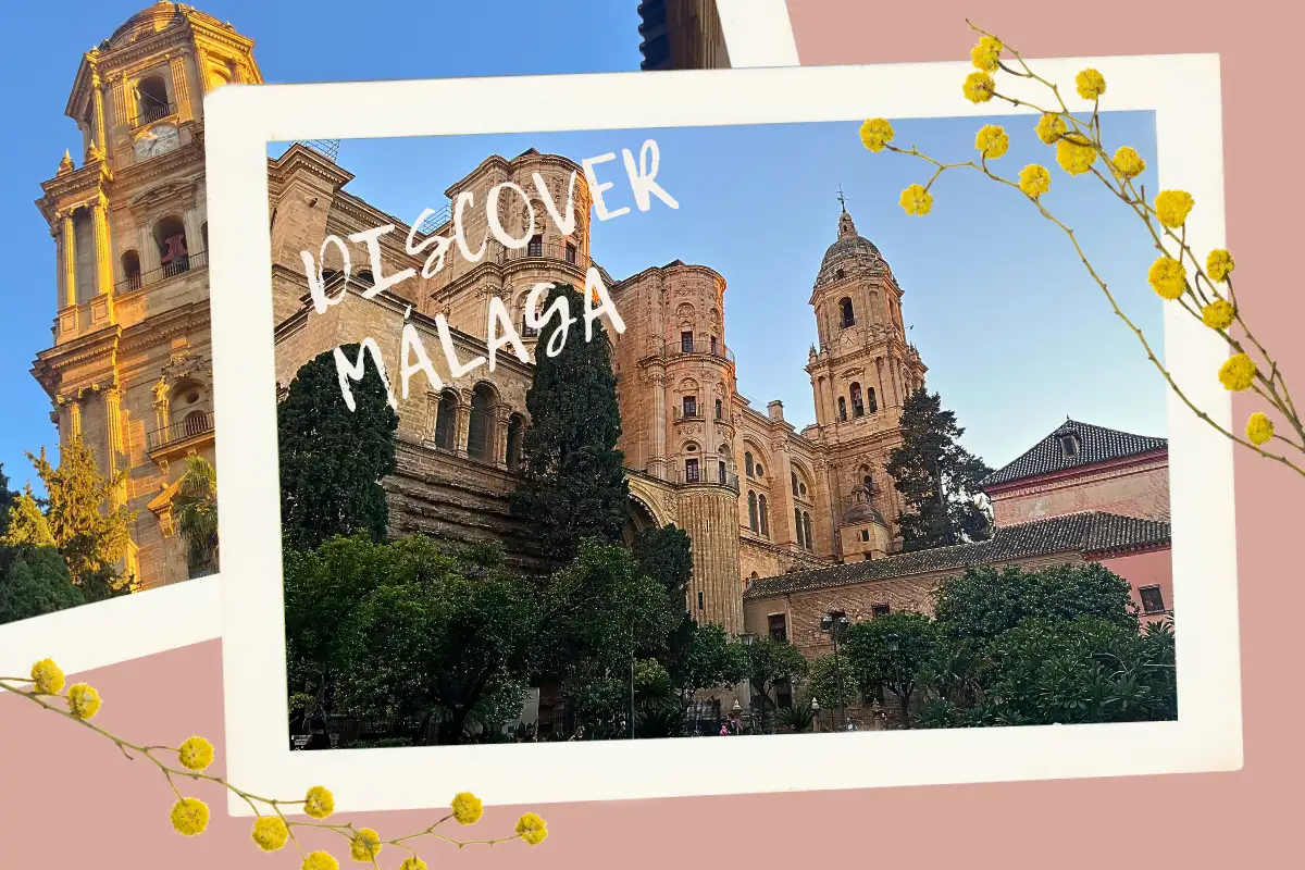 Málaga cathedral tower framed by yellow mimosa blossom in spring