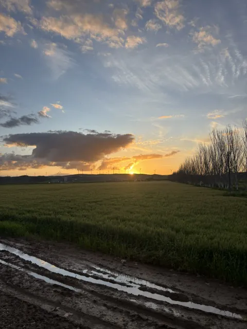 Sunset over green farmland and a muddy track, with wind turbines on the hills inland from Málaga