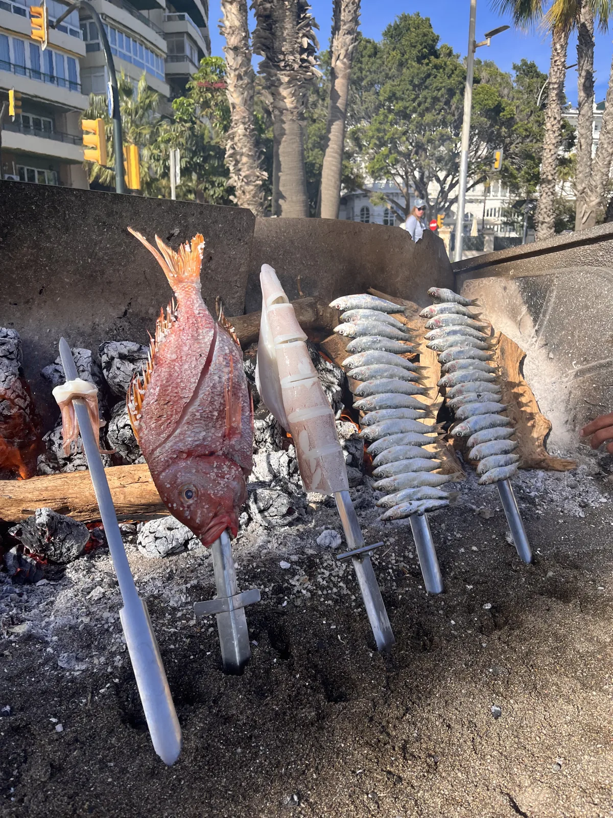 Espetos, sardines and a sea bream on skewers, grilling over hot coals on the beach at El Tintero in El Palo