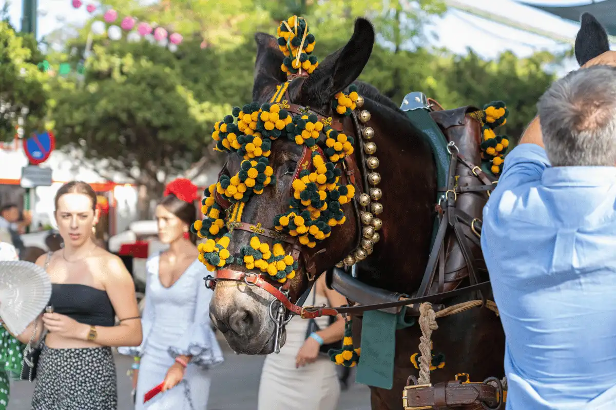 A horse decorated with pompoms during the Málaga Feria
