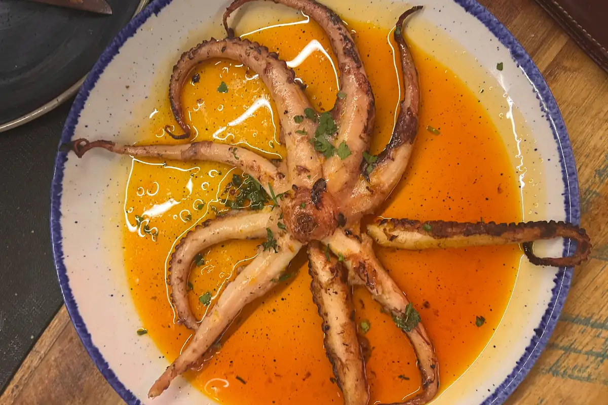 Grilled octopus served on paprika sauce, a classic tapa in Málaga