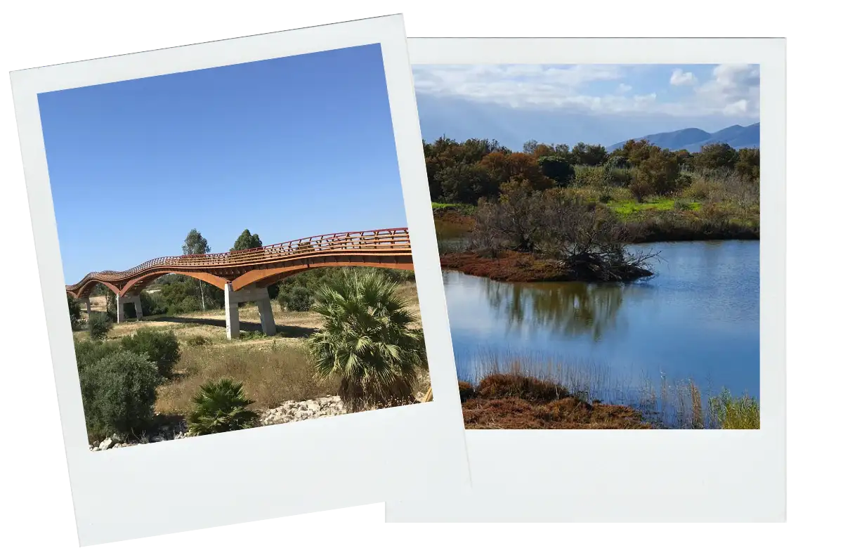 A footbridge over the lagoon at the Guadalhorce nature reserve near Malaga