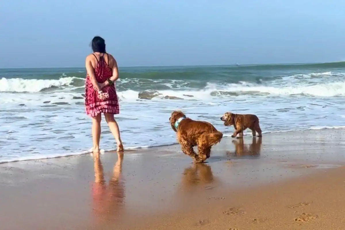 Heidi at the water's edge on a Málaga beach with her cocker spaniels