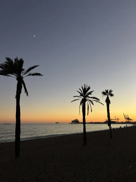 Three palm trees silhouetted on Malagueta Beach at sunset, with a crescent moon above and the port cranes on the horizon